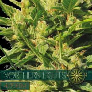 Auto-Northern-Lights-3-u-fem-Vision-Seeds-3