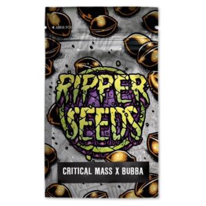 Critical-x-Bubba-Kush-3-u-fem-Ed-Lim-Ripper-Seeds-3