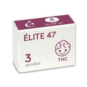 Elite-47-3-u-fem-Elite-Seeds-3