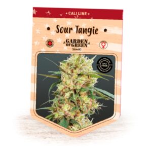 Sour-Tangie-1-u-fem-Garden-of-Green-Seeds-3