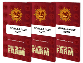 gorilla-glue-auto-packet-1-seed