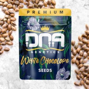 dna-genetics-white-chocolope