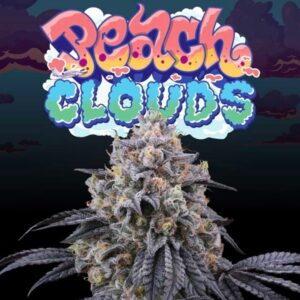 Peach-Clouds-6-u-fem-Perfect-Tree