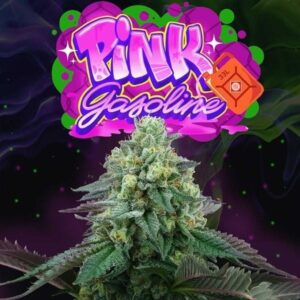 Pink-Gasoline-6-u-fem-Perfect-Tree