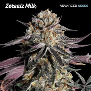 Zerealz-Milk-3-1-u-fem-Advanced-Seeds