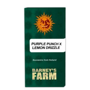 Purple-Punch-x-Lemon-Drizzle-1-u-fem-Barneysasdassf